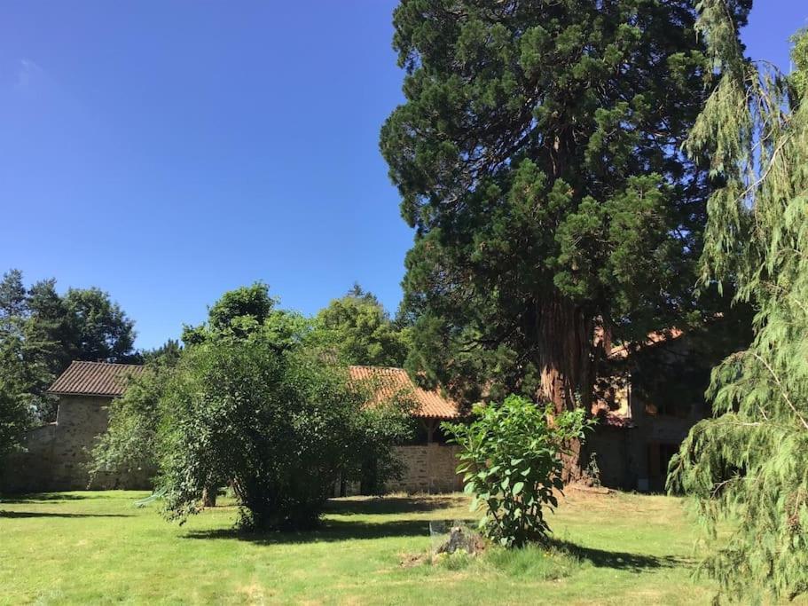 Maison Des Sequoias - Parc 1 Hectare- Veyrac Eksteriør billede