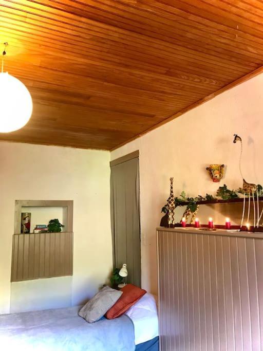 Maison Des Sequoias - Parc 1 Hectare- Veyrac Eksteriør billede